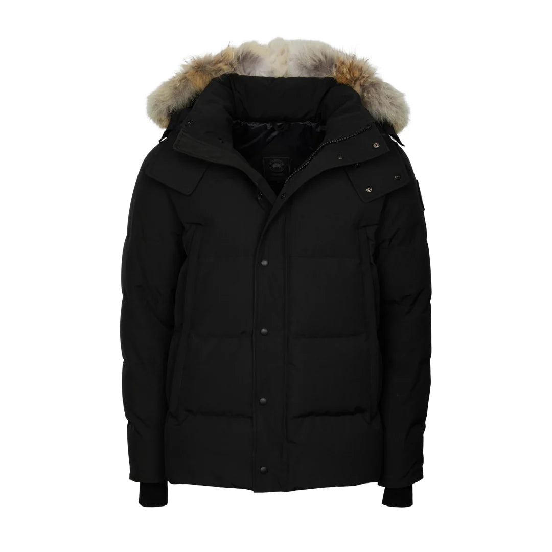 Canada Goose