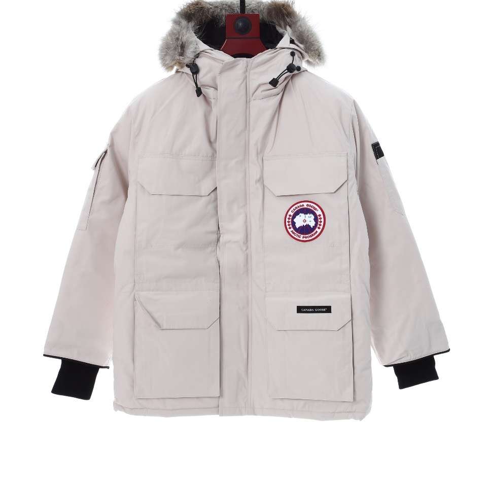 Canada goose