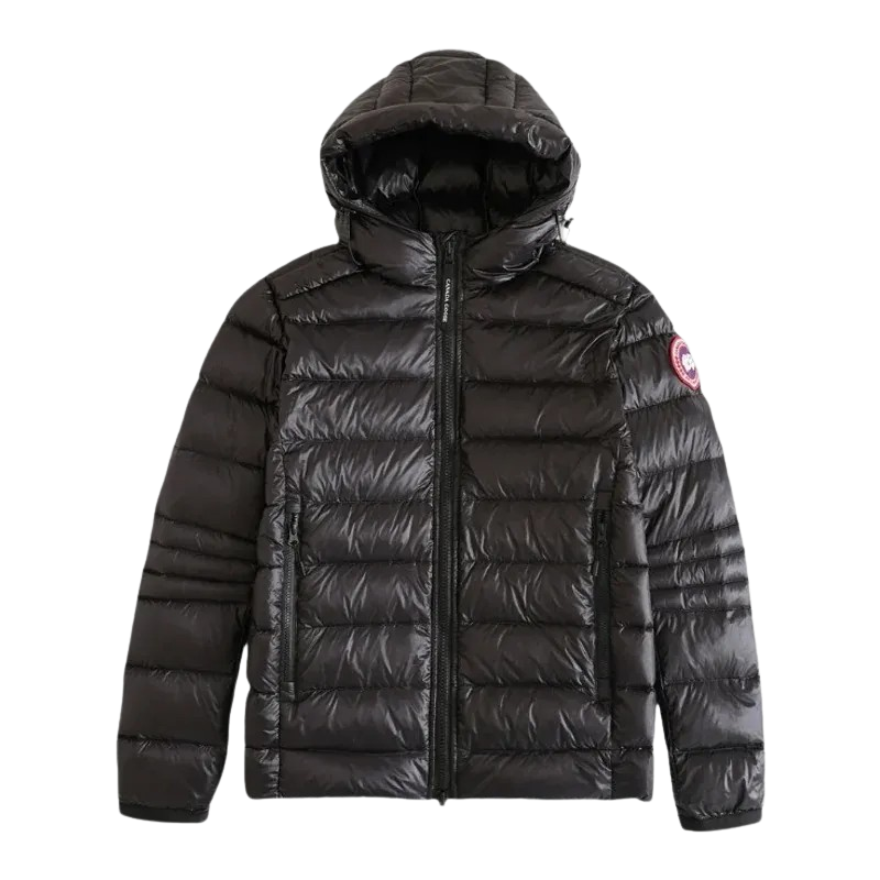 Canada goose