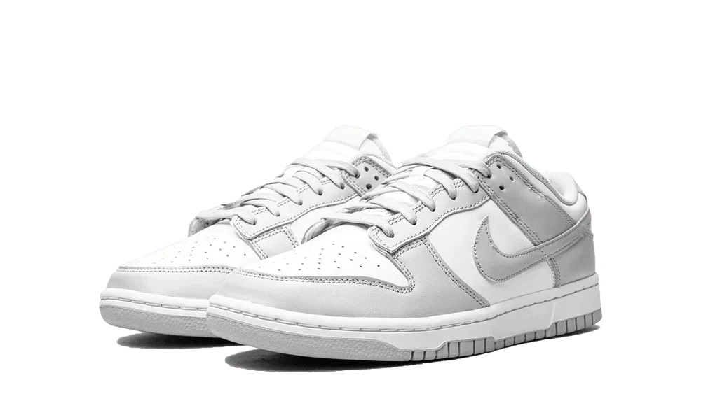 Nike dunk low grey