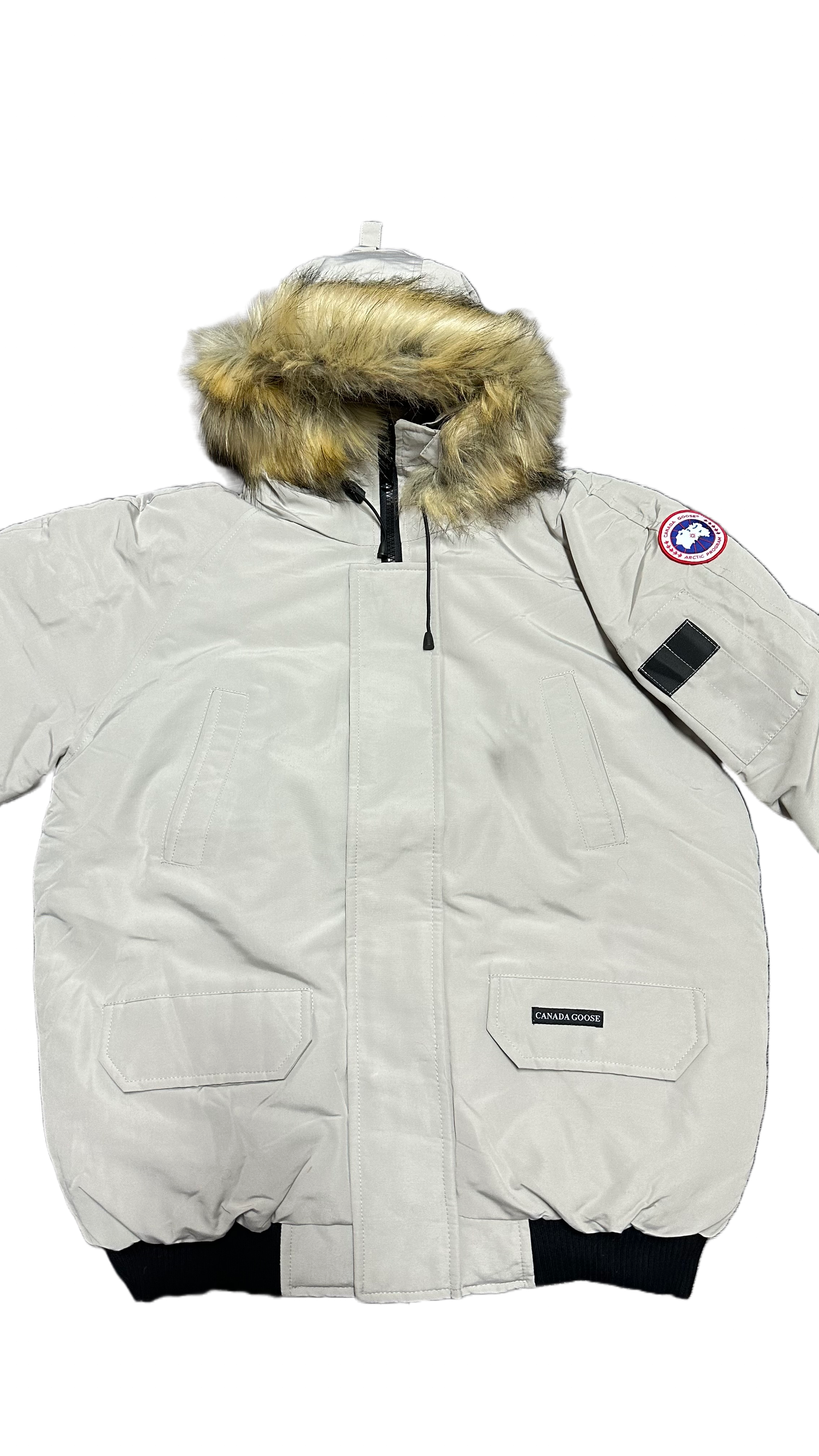 Canada goose white