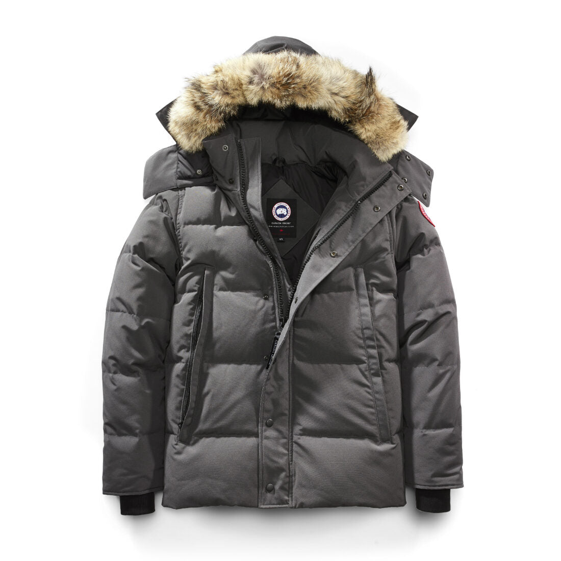 Canada Goose
