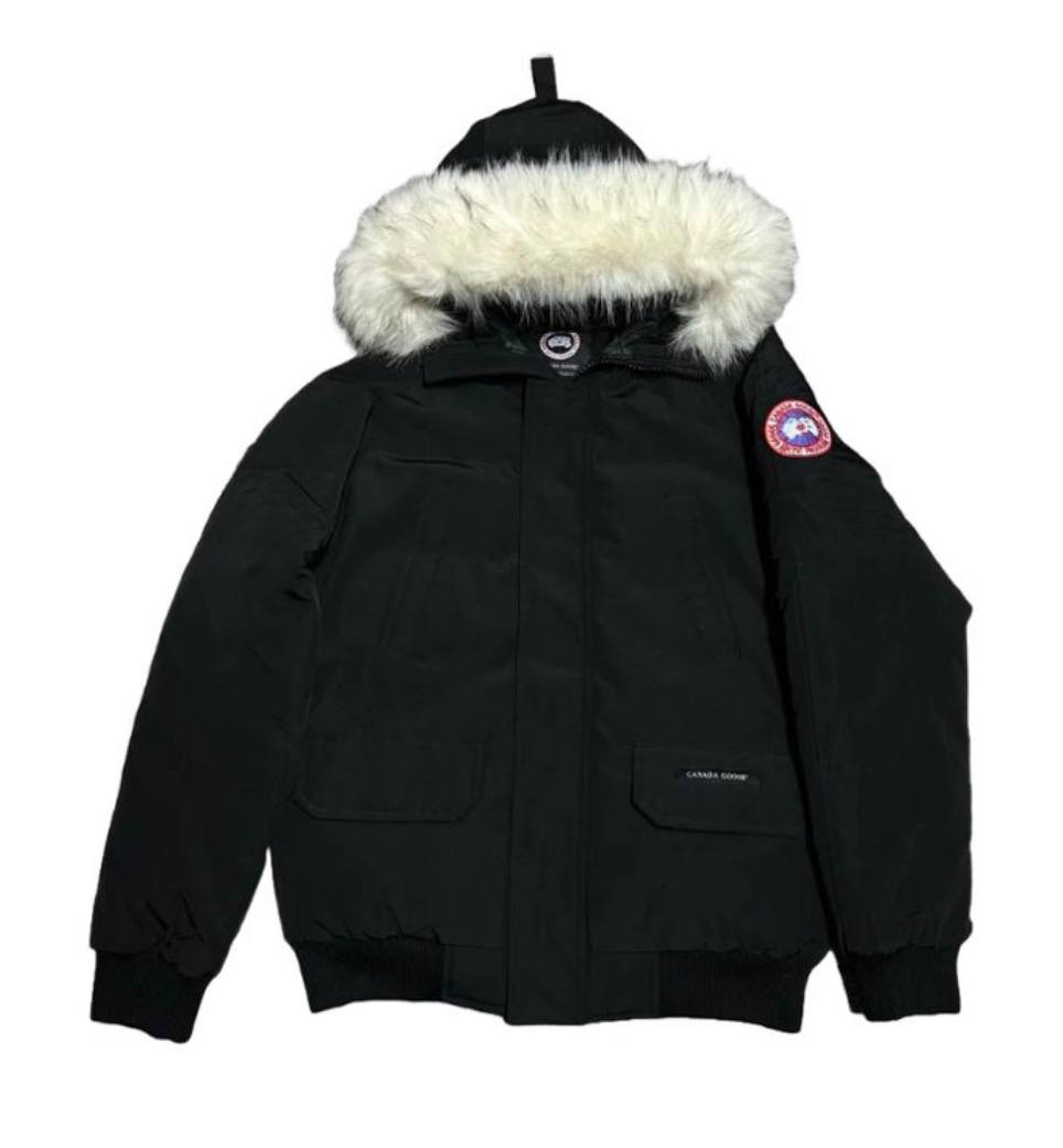 Canada goose black