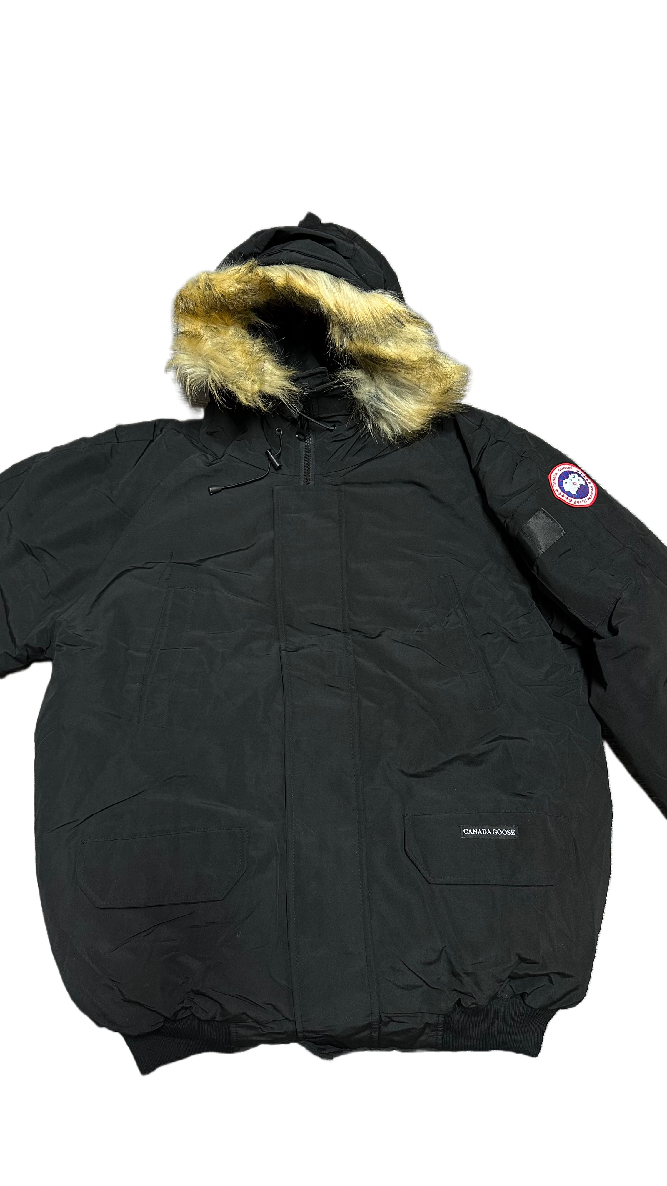Canada goose black