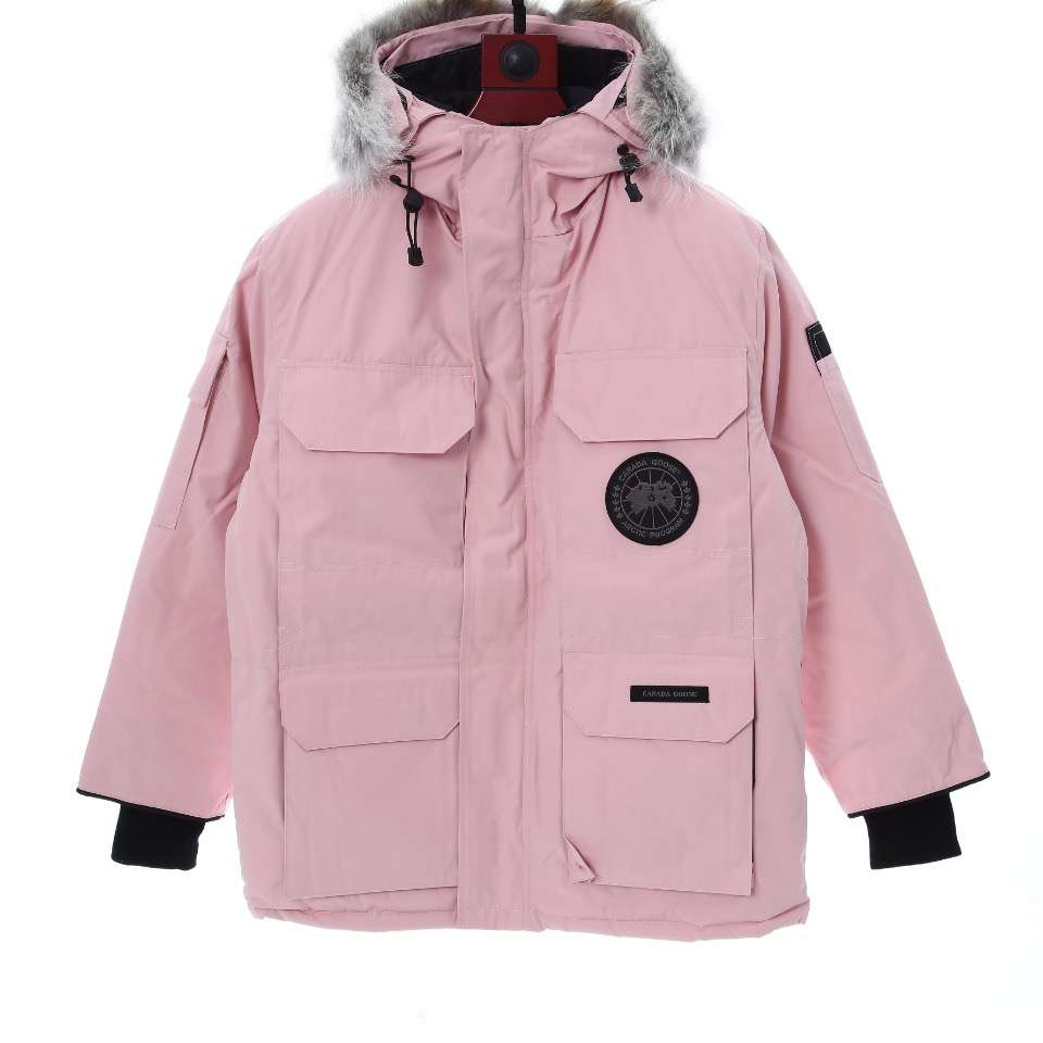 Canada goose